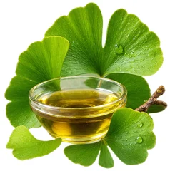 Mellow Zen — extrakt z listů ginkga (Ginkgo biloba)