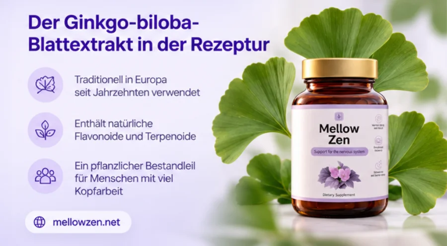 Mellow Zen — kapsle pro dospělé, kteří chtějí podpořit soustředění a klidnější večer