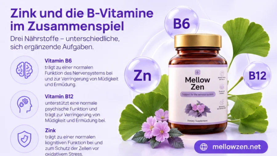 Mellow Zen — složení: extrakt z listů ginkga, zinek, vitamin B6 a B12