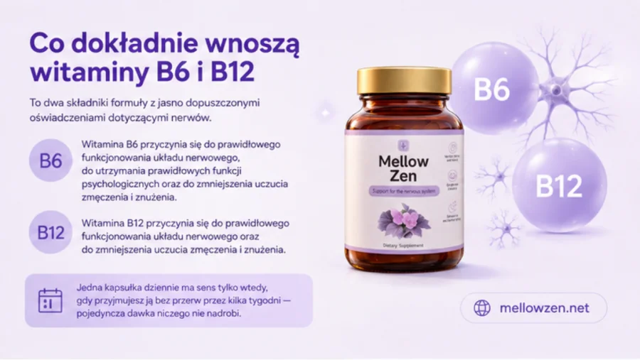 Mellow Zen — složení: extrakt z listů ginkga, zinek, vitamin B6 a B12